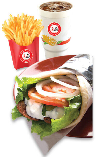 Gyro- Fries Combo w Drinks